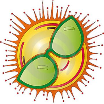 Saúde que vem do sol: entenda porque a vitamina D é tão importante