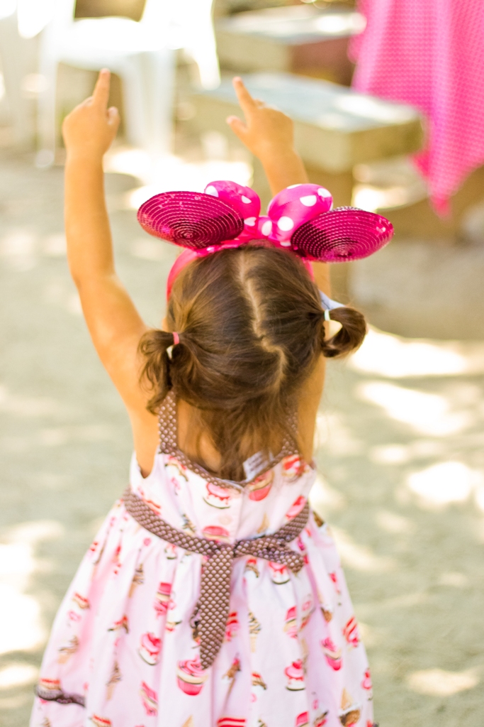 Festa Infantil: Piquenique da Minnie