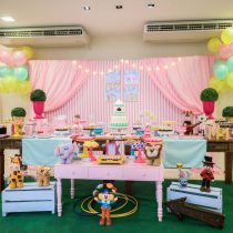 Festa Infantil: Circo Fofo Menina